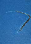 damaged water mat
